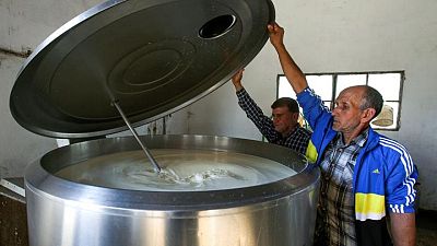 أحلام منتجي الحليب في الجزائر .. هل يمكن أن تخفض فاتورة الاستيراد الضخمة؟