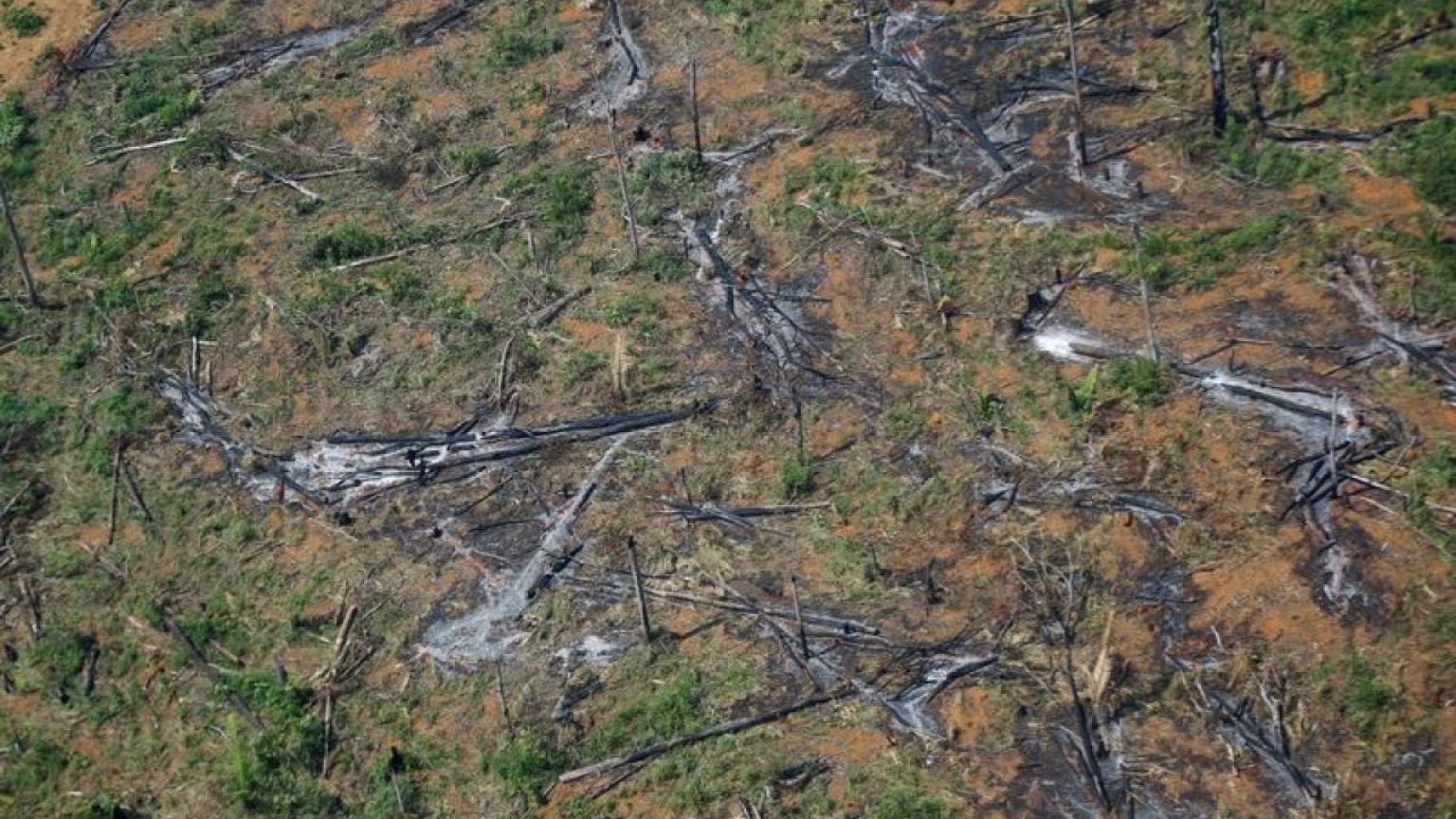 La deforestación de la Amazonia brasileña se dispara un 22% a un máximo de 15 años