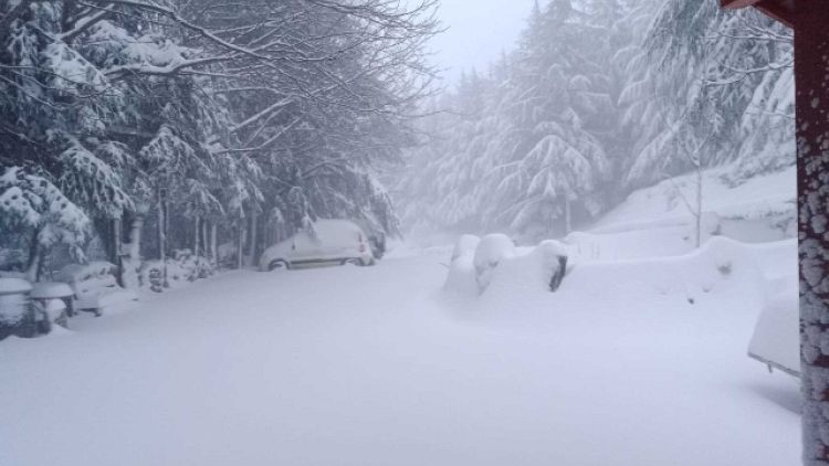 Bufera di neve a Esterzili, incidenti su strade nel Nuorese