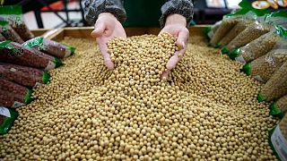 China publica borrador de normas sobre herbicidas para cultivos transgénicos