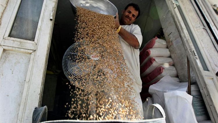 السعودية تشتري نحو 689 ألف طن من القمح في مناقصة