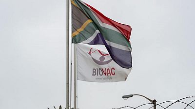Biovac de Sudáfrica comenzará a fabricar vacuna Pfizer-BioNTech para el COVID-19 a principios de 2022 Biovac de Sudáfrica comenzará a fabricar vacuna Pfizer-BioNTech para el COVID-19 a principios de 2022