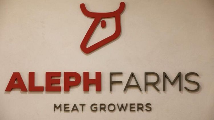 Exclusive-Aleph, Wacker team up to fast-track mass lab meat production