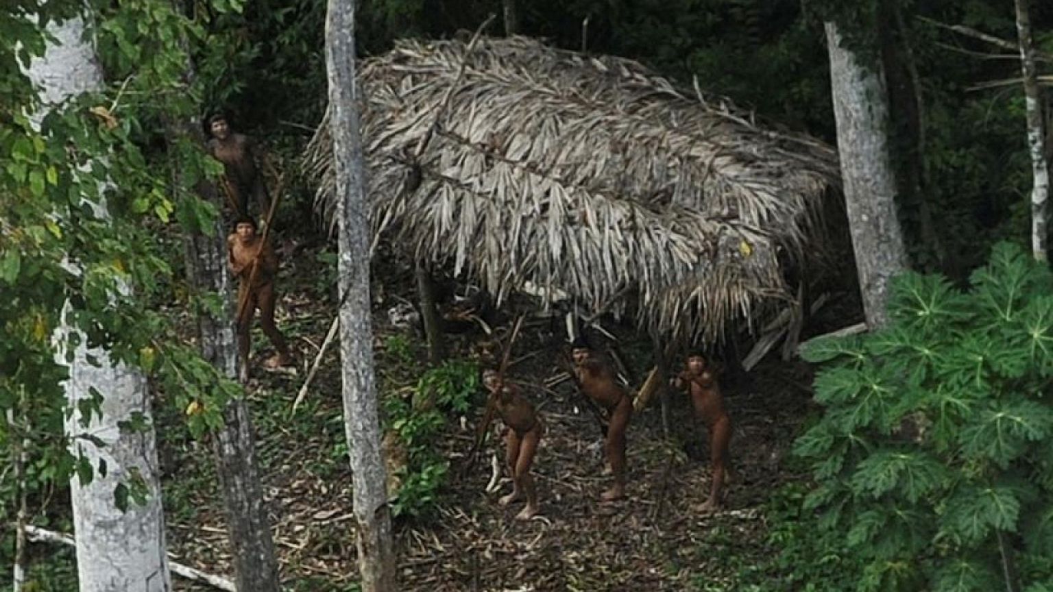 Tribus amazónicas no contactadas están en peligro de extinción en Perú y Brasil: grupo indígena