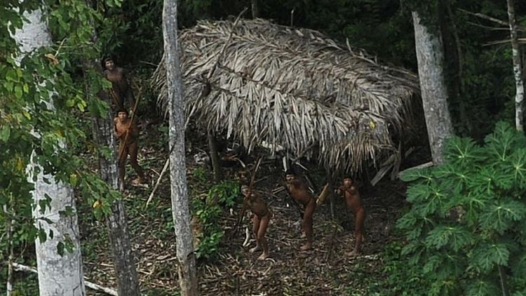 Tribus amazónicas no contactadas están en peligro de extinción en Perú y Brasil: grupo indígena