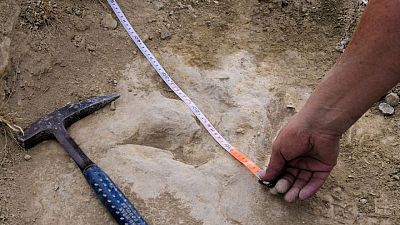 Footprints in Spain show meat-eating dinosaurs were fast and furious