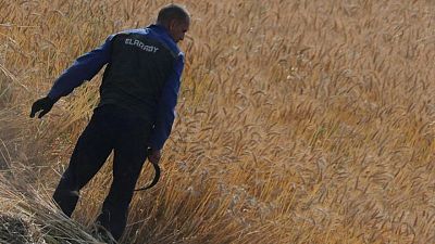 مصر تقول احتياطي القمح يكفي 5.1 شهر