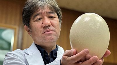 Japan researchers use ostrich cells to make glowing COVID-19 detection masks