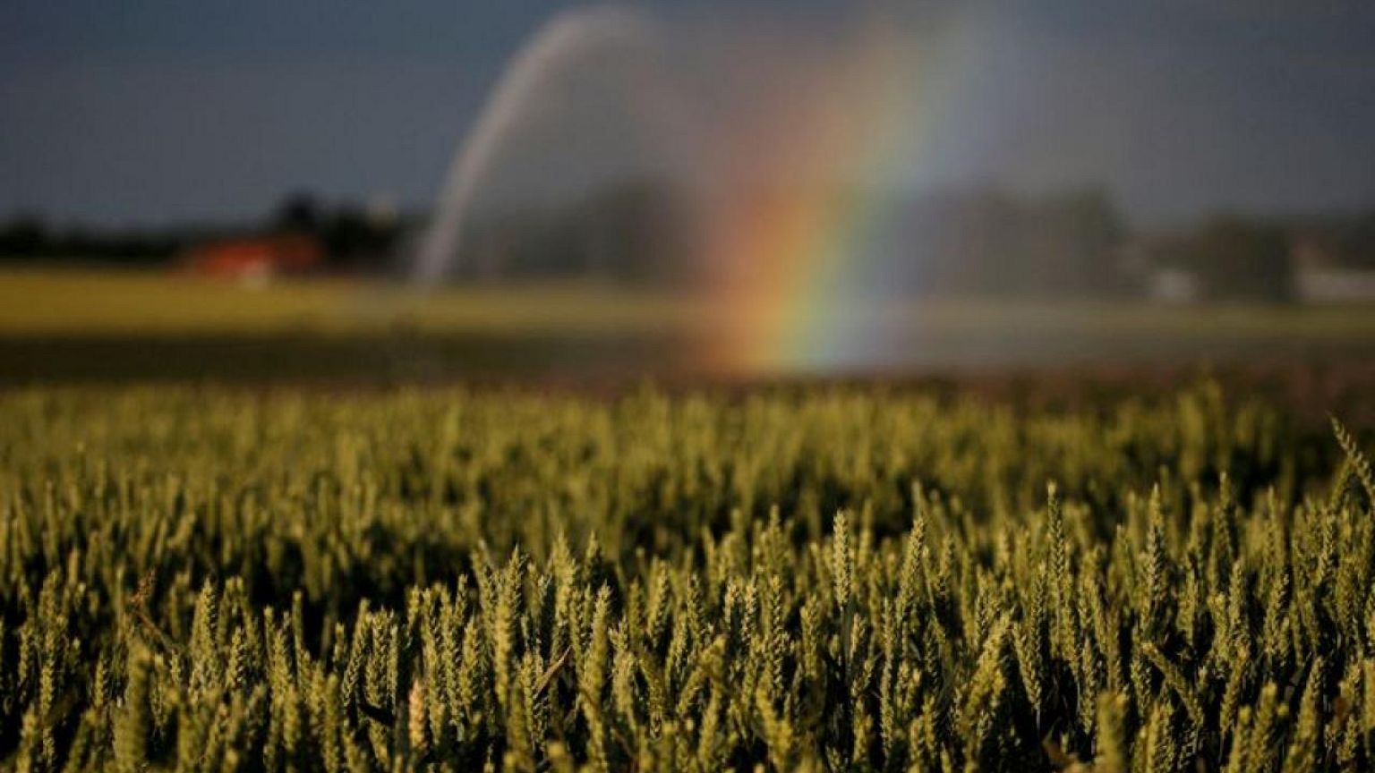 French farms get bigger but still smaller than American rivals - census