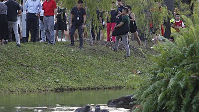 British man recounts attack by otters in Singapore gardens
