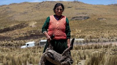 Pueblos campesinos de Perú, empoderados por el Gobierno, se levantan contra la minería