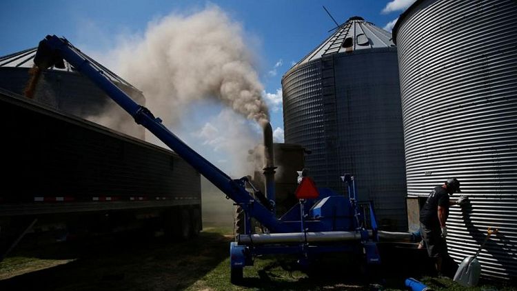 Soja en EEUU sube por avance de la harina de soja