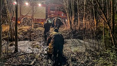 El ejército polaco rescata inmigrantes de un pantano helado
