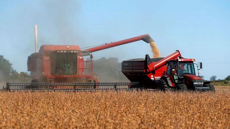 Importaciones de soja 2021/22 de la UE caen a 5,77 millones de toneladas al 12 de diciembre