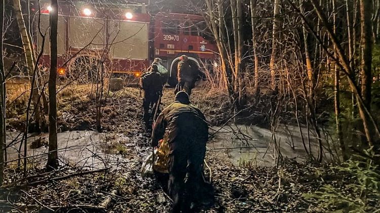Fight for life as Polish services pull migrants from freezing swamp