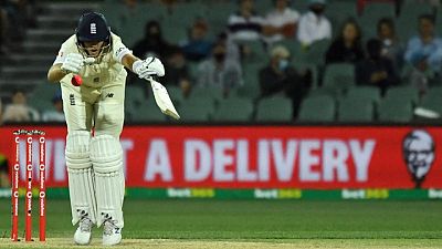 Cricket - England need another Stokes special to save Adelaide test