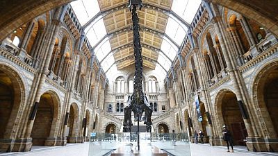 إغلاق متحف التاريخ الطبيعي في لندن بسبب نقص الموظفين