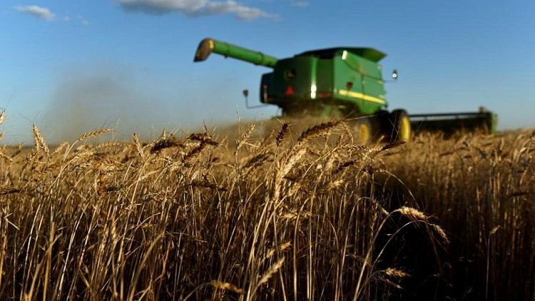 Un huracán podría haber causado daños diversos al trigo en la región de las Llanuras de EEUU