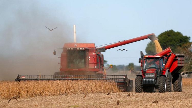 Importaciones de soja de la UE llegan a 5,97 millones de toneladas al 19 de diciembre en 2021/22