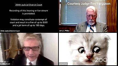 Column-In 2021, we were all Zoom cat lawyer: Greene