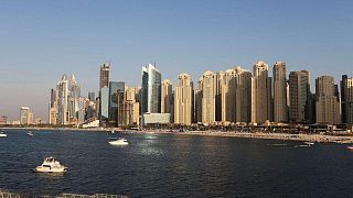 فايننشال تايمز: الإمارات تعتزم إلغاء احتكار عائلات تجارية كبرى للاستيراد