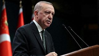 محللون: أردوغان قد يستغل الإجراءات الاقتصادية للدعوة إلى انتخابات مبكرة