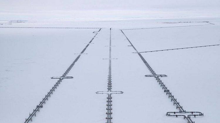 Eastbound gas flows rise along Yamal pipeline but westbound requests emerge