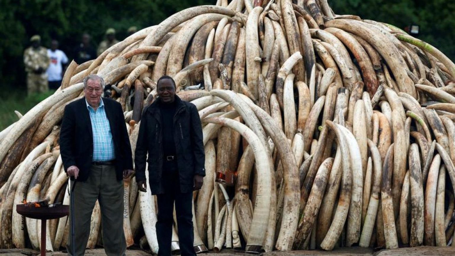 Richard Leakey, Kenyan conservationist who campaigned against ivory trade, has died