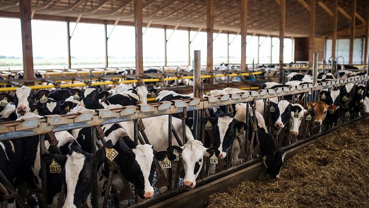 U.S. Prevails Over Canada in Dairy Dispute Under New Trade Deal
