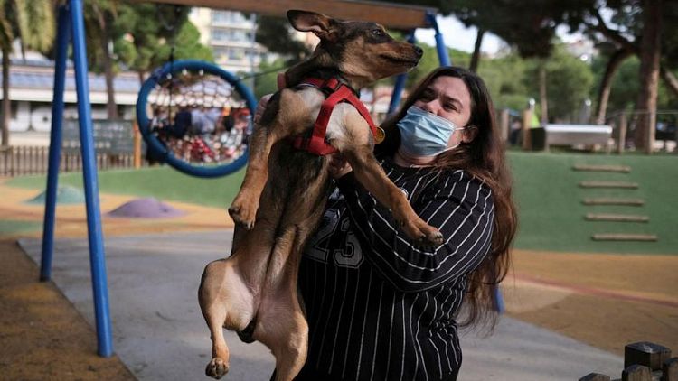 Custodia de perros: España tendrá en cuenta el bienestar de las mascotas en las batallas de divorcio