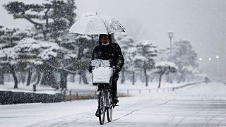 طوكيو ترتجف وسط انهمار غير معتاد للثلوج