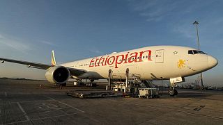رئيس الخطوط الإثيوبية: الشركة تحقق أرباحا مع ازدهار حركة الشحن