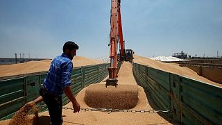 تجار: أنباء عن شراء العراق نحو 150 ألف طن من القمح الأسترالي