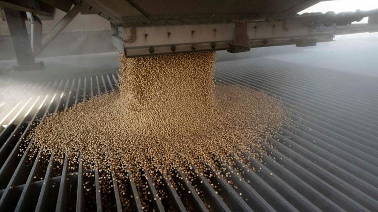 Importaciones de soja de la UE en 2021/22 se hunden a 7,01 millones toneladas al 16 de enero