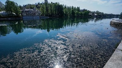 Cirio, speriamo segnale positivo si rifletta su ospedalizzazioni Cirio, speriamo segnale positivo si rifletta su ospedalizzazioni