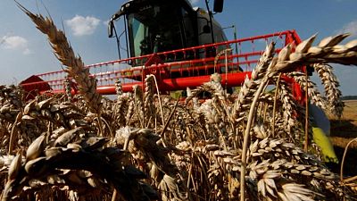 El trigo, el maíz y la soja estadounidenses suben con los operadores atentos al clima