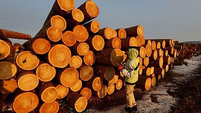 EU takes Russia to WTO over export restrictions on wood