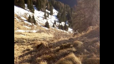 Scivolata per decine di metri, gravi due amici che erano con lei Scivolata per decine di metri, gravi due amici che erano con lei