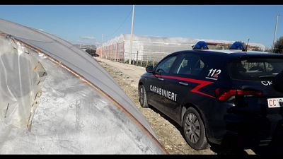 Mentre con militari si cercava di trattare resa Mentre con militari si cercava di trattare resa