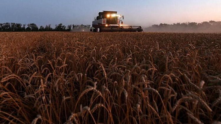 Sovecon eleva su pronóstico para las exportaciones de trigo de Rusia en 2021/2022