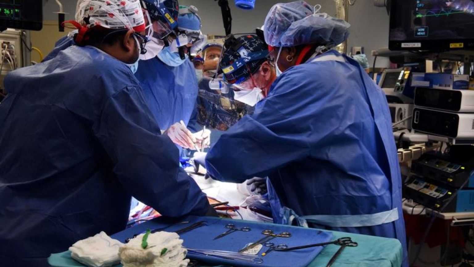 German researchers to breed genetically-modified pigs especially for human heart transplants