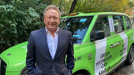 Iron ore magnate Andrew Forrest, who initiated the lawsuit, is Australia's richest man and chairman of Fortescue Metals Group.