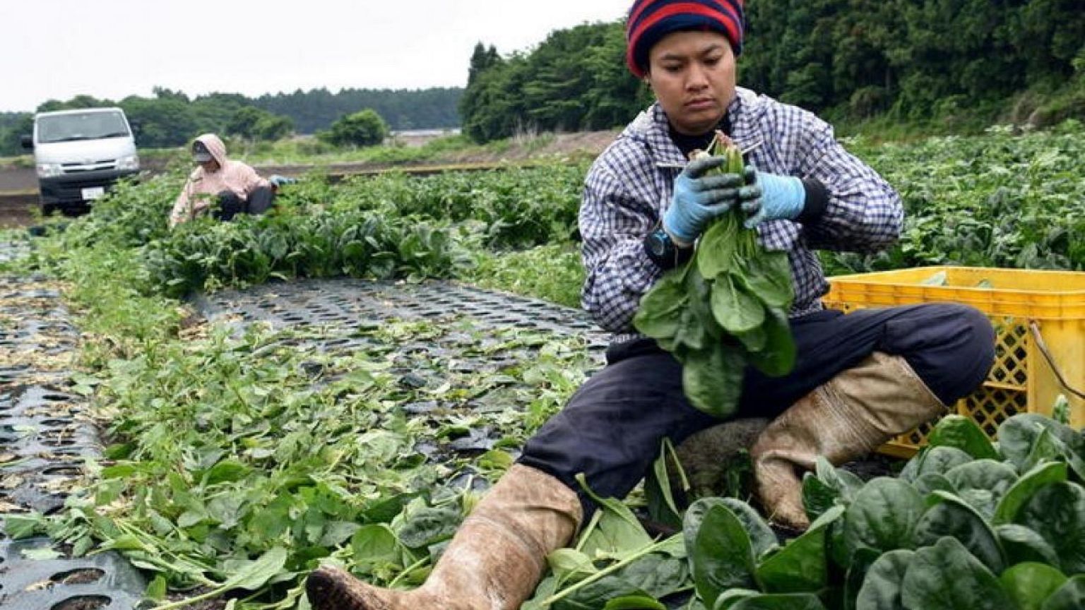 Japón debe cuadruplicar trabajadores extranjeros al 2040 para cumplir meta de crecimiento