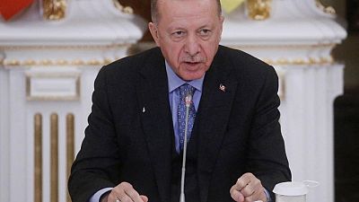 أردوغان يجدد استعداده للمساعدة في حل الأزمة بين أوكرانيا وروسيا وزيلينسكي يرحب