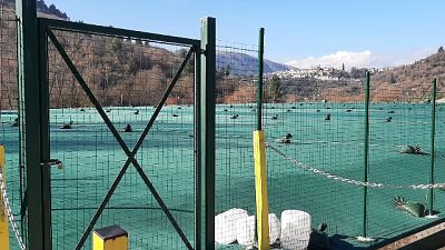Rimozione di 9mila metri cubi residui demolizione e produzione Rimozione di 9mila metri cubi residui demolizione e produzione