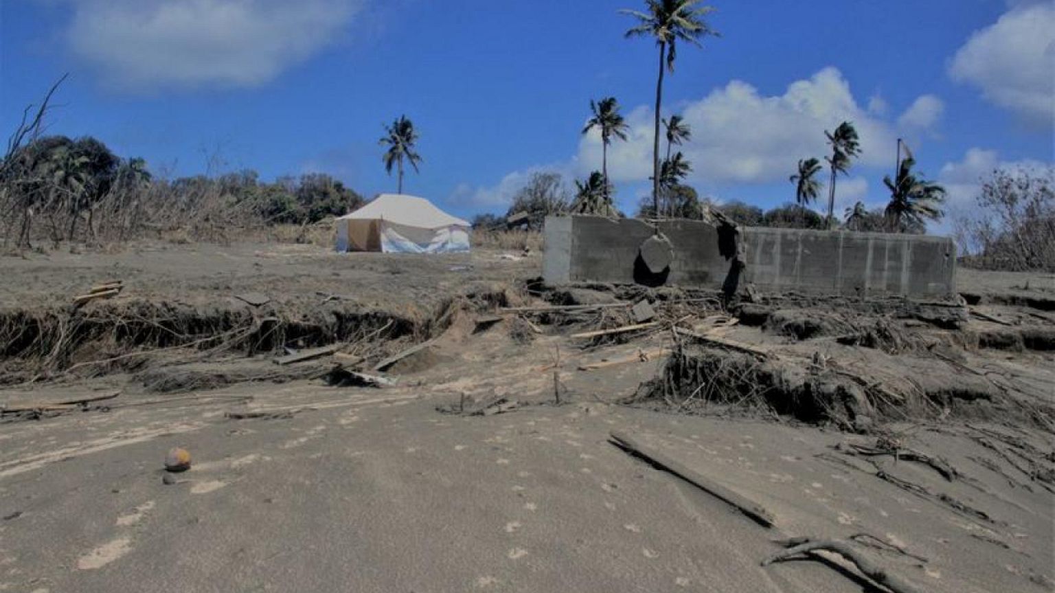 Musk's SpaceX working to restore Tonga's internet - Fiji official