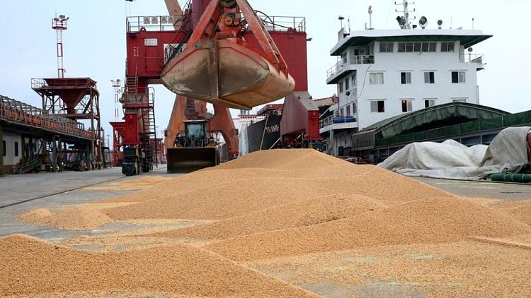 Precios de harina de soja tocan récord en China por inquietud sobre cosechas de Sudamérica