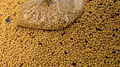 Importaciones chinas de soja de Estados Unidos caen un 7% en noviembre