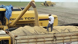 GRANOS-Cereales y la soja suben por el temor al conflicto entre Rusia y Ucrania
