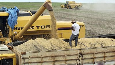 GRANOS-Cereales y la soja suben por el temor al conflicto entre Rusia y Ucrania GRANOS-Cereales y la soja suben por el temor al conflicto entre Rusia y Ucrania
